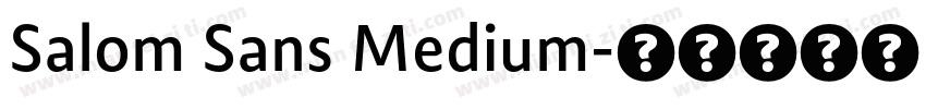 Salom Sans Medium字体转换
